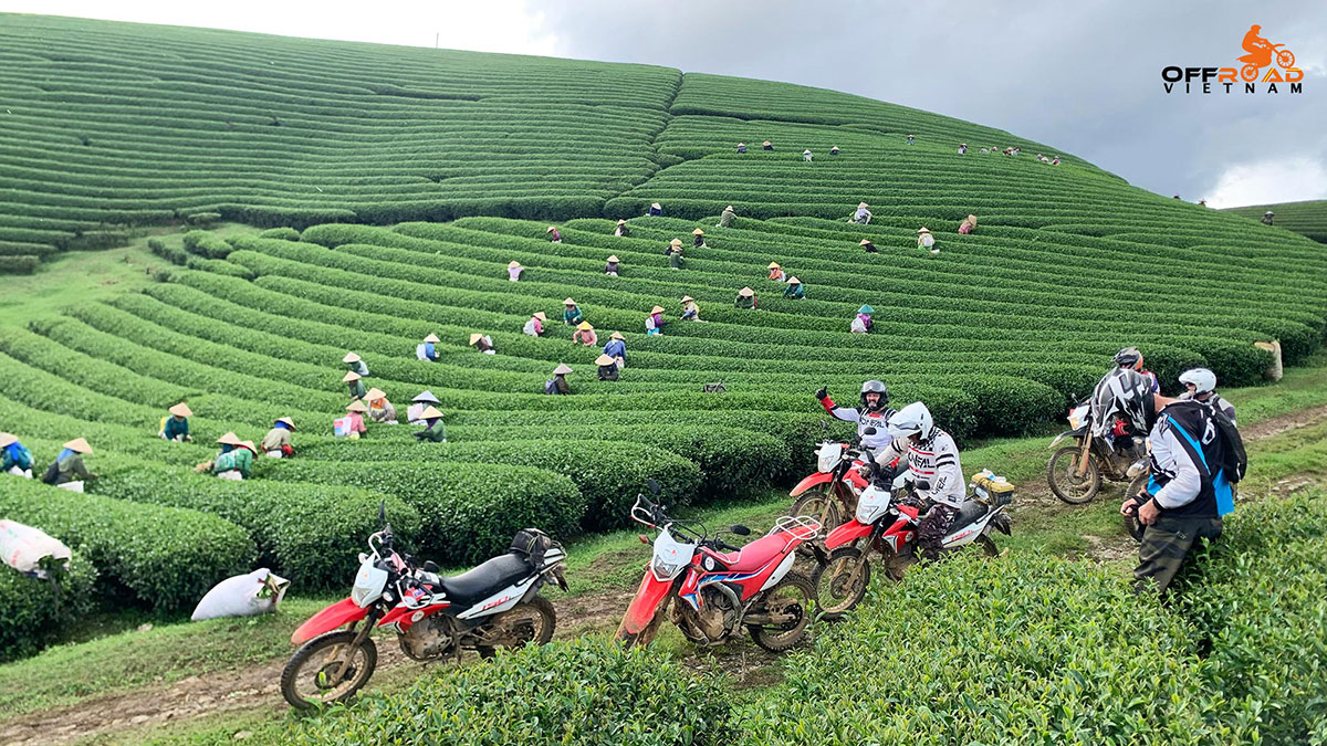 vietnam motorbike tour fully guided and supported