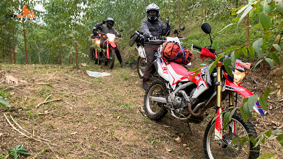 Vietnam Motorbike Tours From Hanoi Mmotorbike Rental Only
